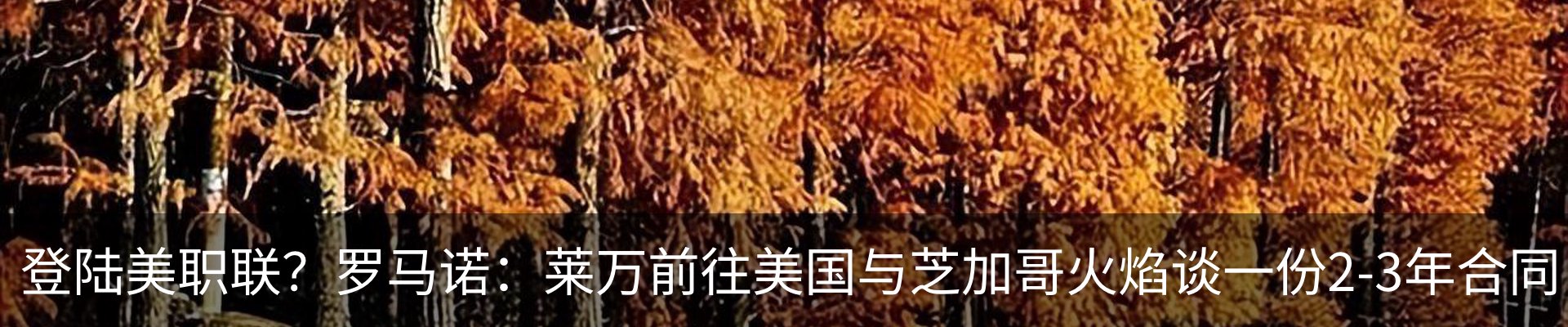 内页banner