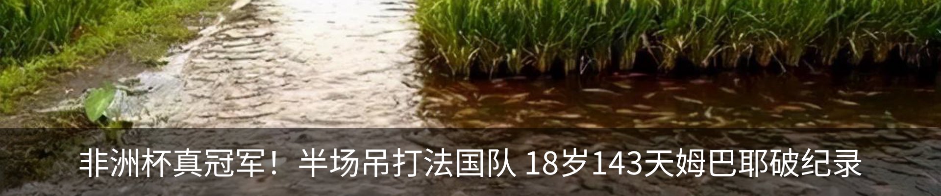 内页banner